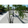 /caniveaux-de-drainage-pour-terrasse-et-jardin/caniveau-de-drainage-eaux-pluviales-bg-filcoten-tec-avec-cornieres-dn-100-150-200-mm-p-5000496.9-600x600.jpg