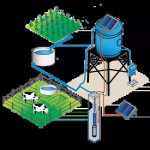 Kit complet pompe à eau solaire immergée pour puits - Sunny Pump