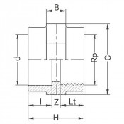 Manchon PVC d'adaptation - Femelle à coller sur d - Taraudé sur Rp - PLASSON