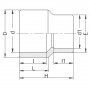Réduction PVC double - Mâle à coller sur D - Femelles à coller sur d et d1 réduit - PLASSON