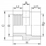 Réduction PVC - Filetée sur R - Taraudée sur Rp - PLASSON