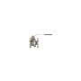 Vanne split body à brides GN 16 - PN16/40 inox