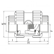 Clapet de retenue PVC à coller avec protection PTFE sur le ressort - Joints FPM - PLASSON